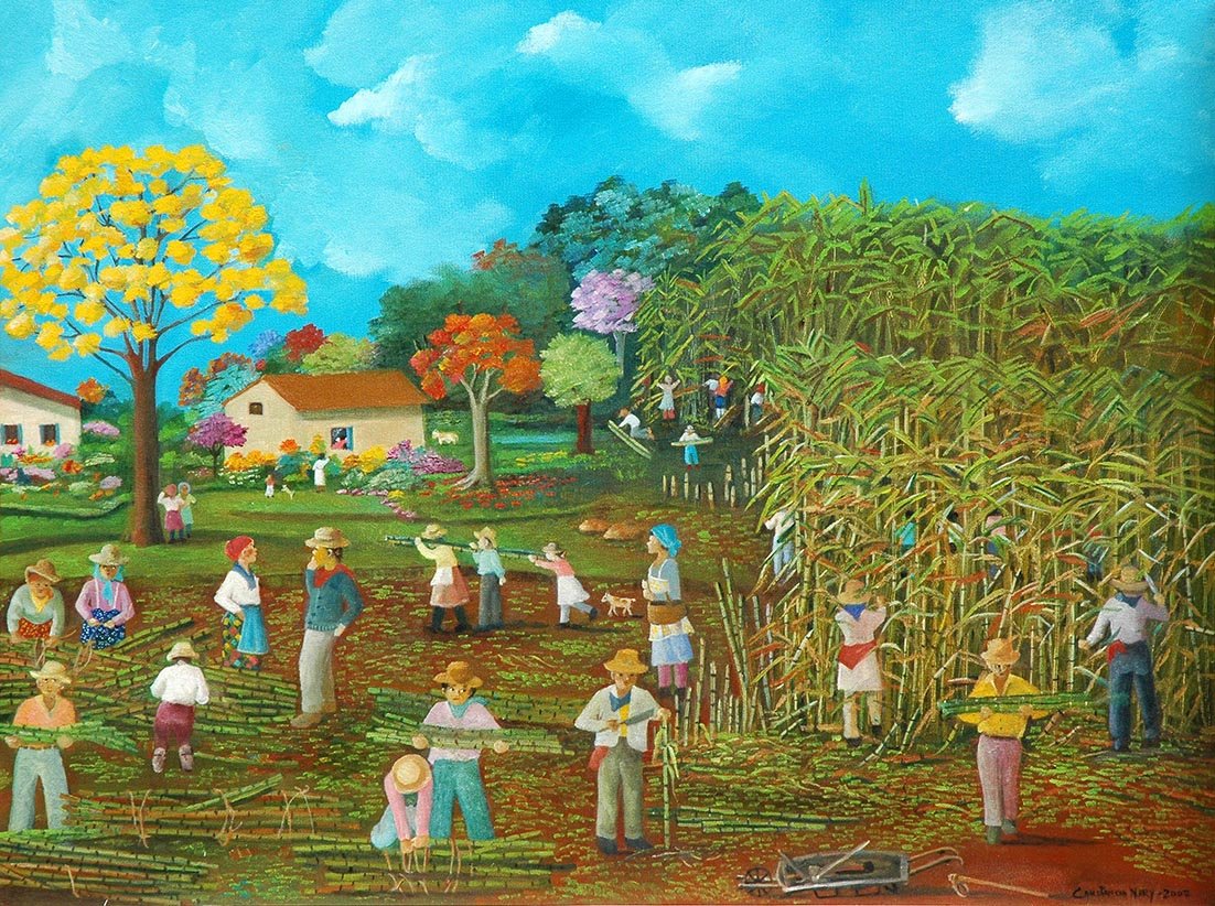 O doce coração da cana
