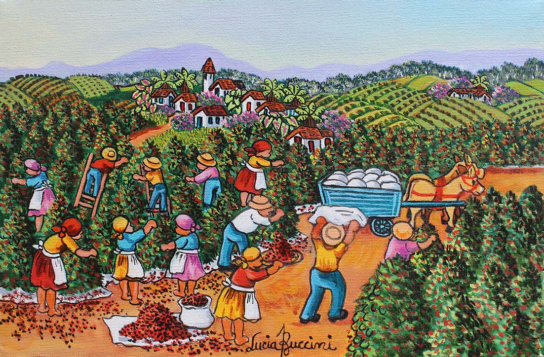 Cafezais do Brasil II