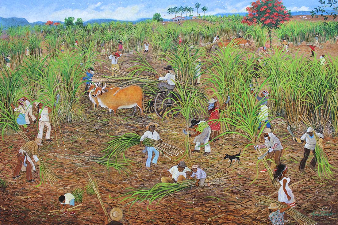 Boa colheita