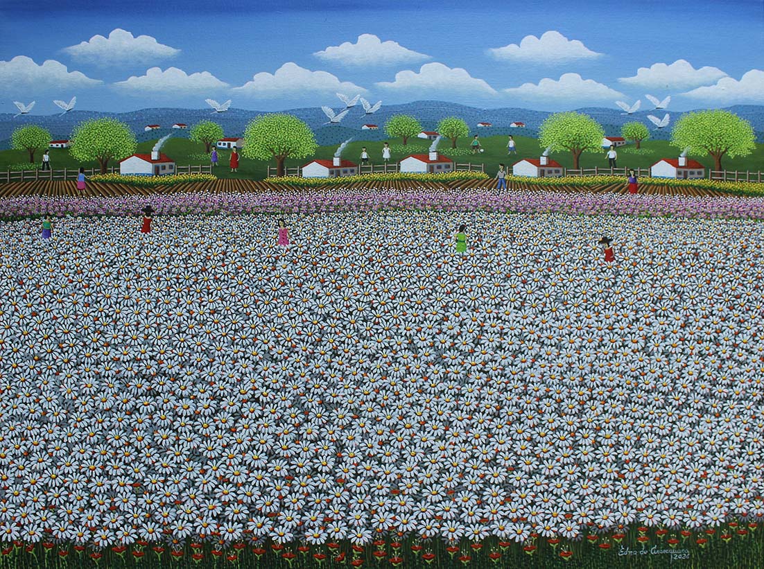 Campo florido